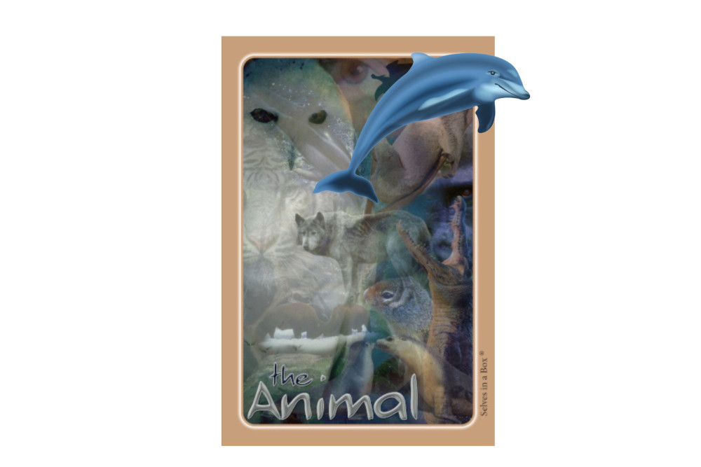 November Inner Update: The Animal